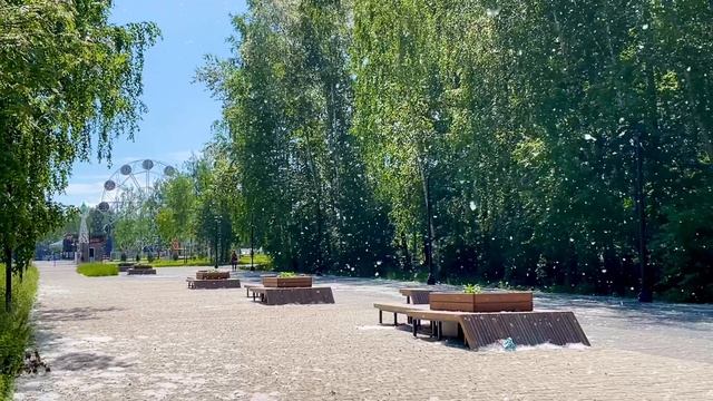 Хроники тополиного пуха🌾🌲🌳🌼🌱🚴♀️🫥🌿в городе