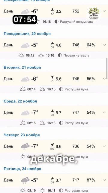 Укрытие деревьев на зиму.