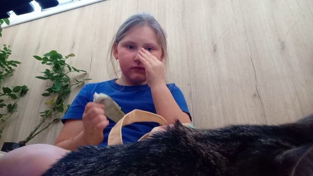 1000034885.mp4 смотреть онлайн