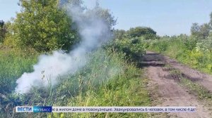 Дайджест новостей Кузбасса за 11.06.2026