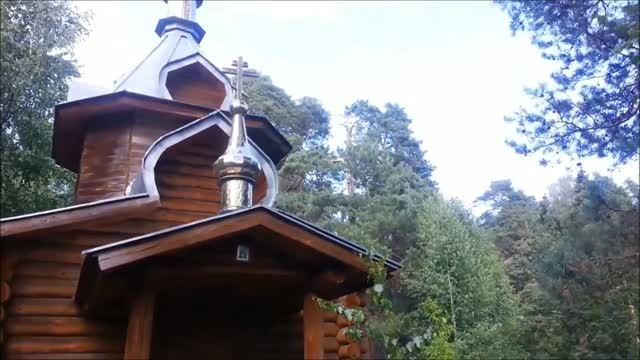 Сторона моя