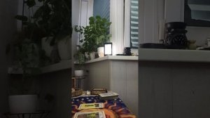 карта дня