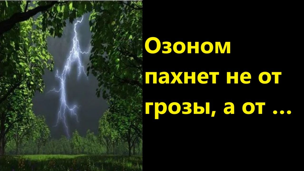 Озоном пахнет не от грозы, а от …