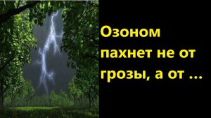 Озоном пахнет не от грозы, а от …