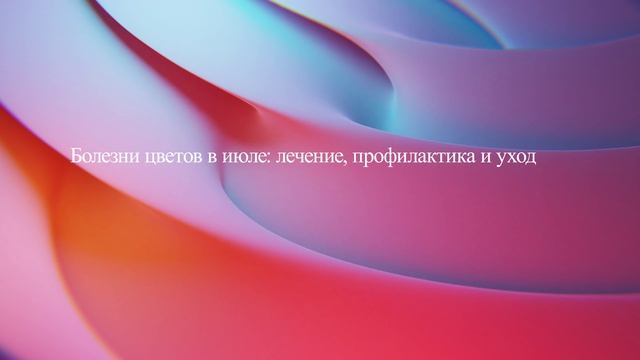 Болезни цветов в июле: лечение, профилактика и уход