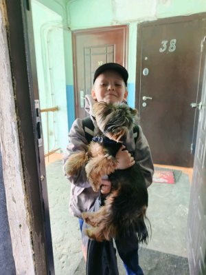 Костя дзю