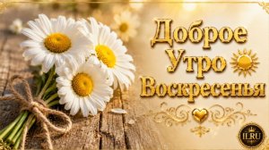 Доброе Утро Воскресенья 🌞 Пожелание Доброго Утра Воскресенья | Душевная Музыкальная Открытка