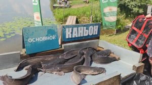 Рыбалка на сома в Подмосковье.