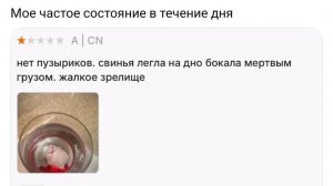Да-да, первый помощник