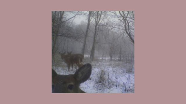 ~Creepy_cute • A morutecore playlist~🧸_ смотреть онлайн