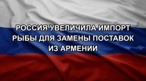 Россия увеличила импорт рыбы для замены поставок из Армении