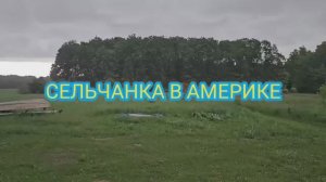 Сельчанка в Америке США НУЖНО В УБЕЖИЩЕ