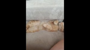 кто самый милый?