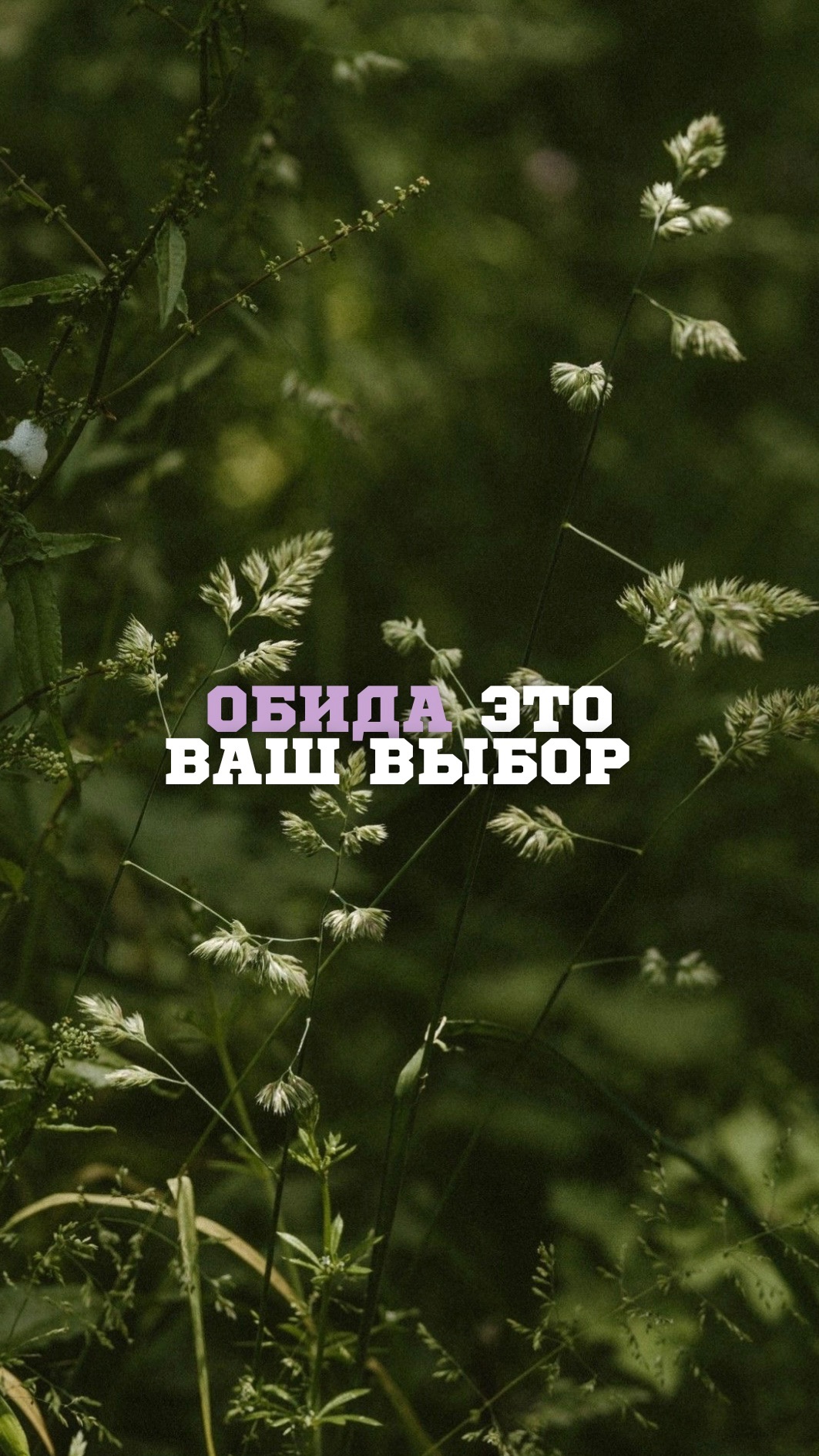 Обида это ваш выбор