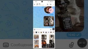 Разговор с ВИОЛЕТТОЙ
