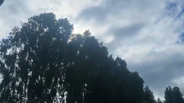 С праздником друзья!🇷🇺 ,,Молитва о России