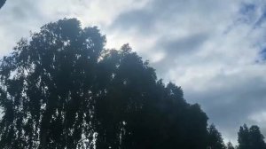 С праздником друзья!🇷🇺 ,,Молитва о России»..