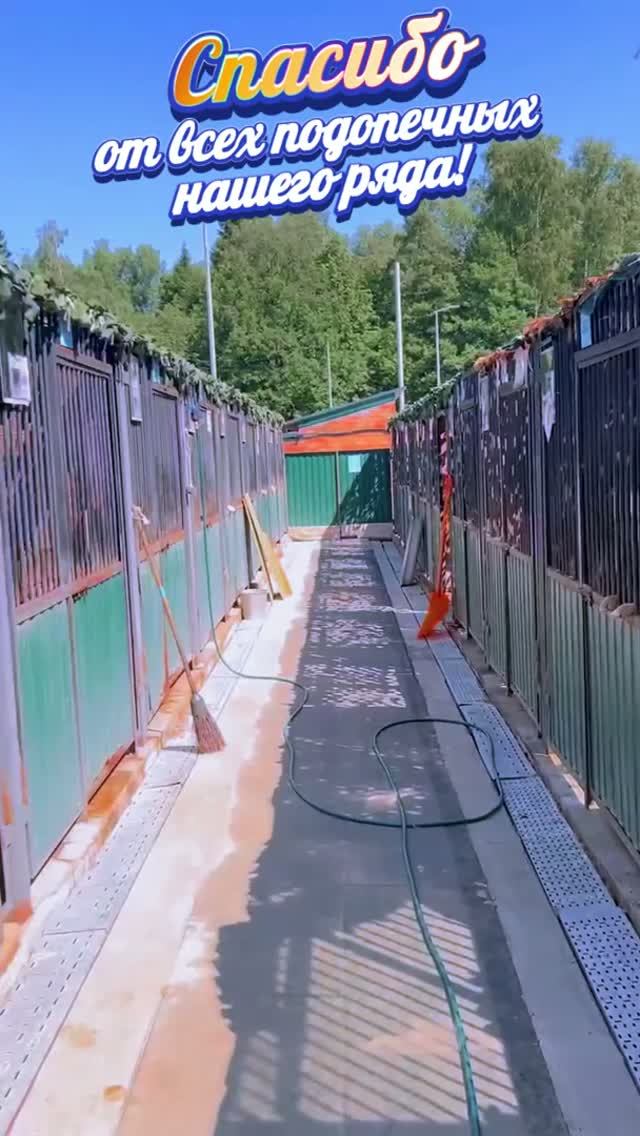 Несите баночки! ❥ Приют в Малинках