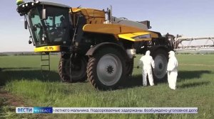 «Вести» узнали, успеют ли кузбасские аграрии завершить посевную до затяжных дождей
