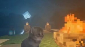 3073.mp4