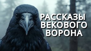 Люди глазами векового ворона I Рассказ
