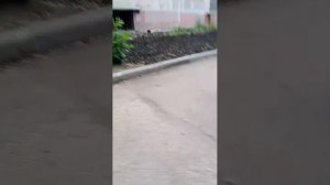 просто гуляю