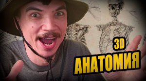 Изучаю АНАТОМИЮ чтобы ПРОКАЧАТЬ СКИЛЛ в Zbrush. Скульптинг. 3d стадики