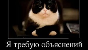 какие то новости