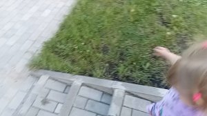 13-06-2026 Ох, уж эта самостоятельность!!
