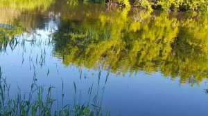 ПРИЕХАЛ НА РЕЧКУ ПОРЫБАЧИТЬ. ВОДА ПРИБЫЛО ОЧЕНЬ ХОРОШО