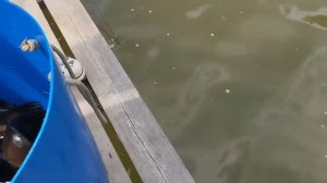 1000047826.mp4
