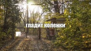 Аниме Эдит