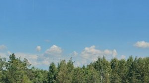 Облака плывут над лесом. Без звука. 14 минут 1080p.