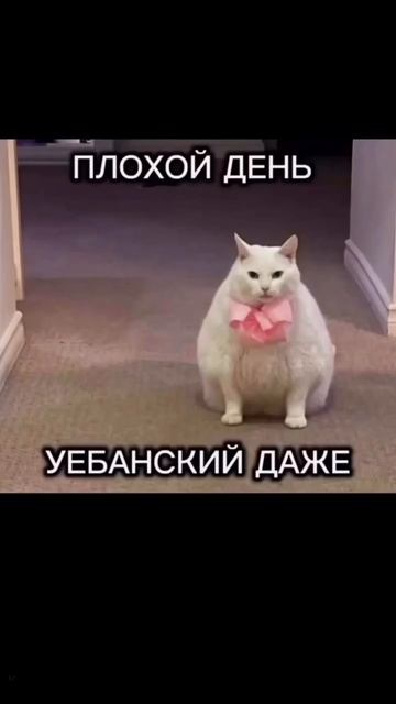 Плохой день