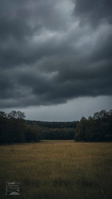 Перед дождем