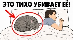 14 Мест, где Кошке НИКОГДА Нельзя Спать — 92% РАЗРЕШАЮТ!