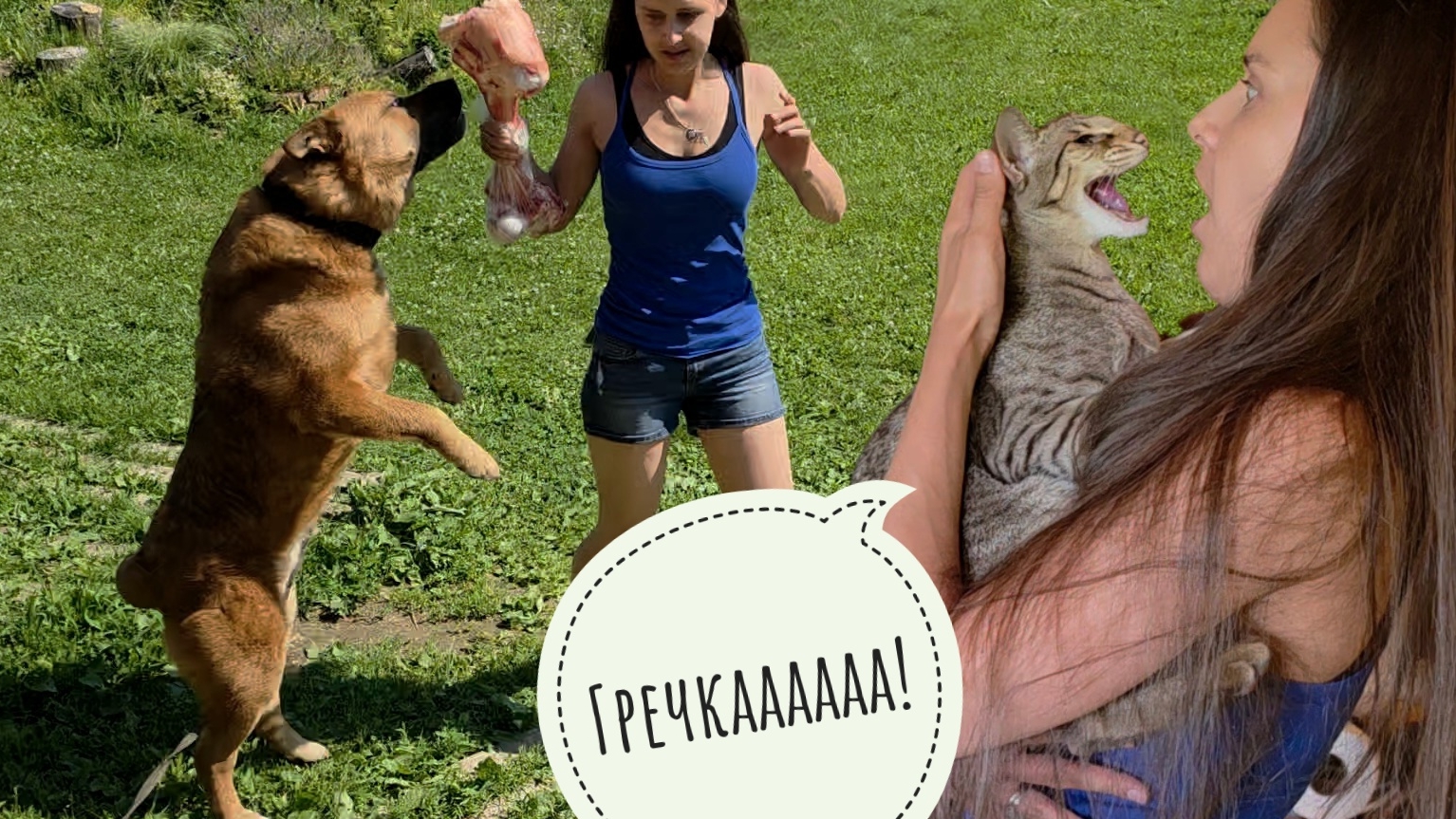 Пёс Кубик в восторге, Треугольный кот Марсель в счастье - Маша приехала, обнимашки привезла! смотреть онлайн