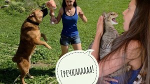 Пёс Кубик в восторге, Треугольный кот Марсель в счастье - Маша приехала, обнимашки привезла!