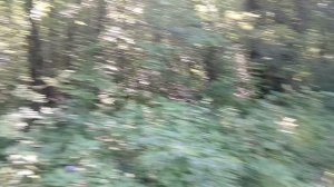 Попробовал поднять небольшой камень на развале древнего мегалита Полосатый Дольмен