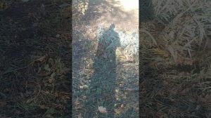 08a0b7ab-2435-40f1-9ddc-957bc5d04906-1_all_5349.mp4