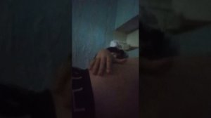 мой живот (1 часть)