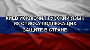 Киев исключил русский язык из списка подлежащих защите в стране