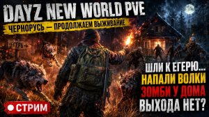 Волки в лесу, зомби у дома… выживем ли сегодня? | DayZ Чернорусь