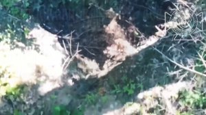 💥Бои в Сумской области: наши операторы БпЛА уничтожают очередной миномёт противника