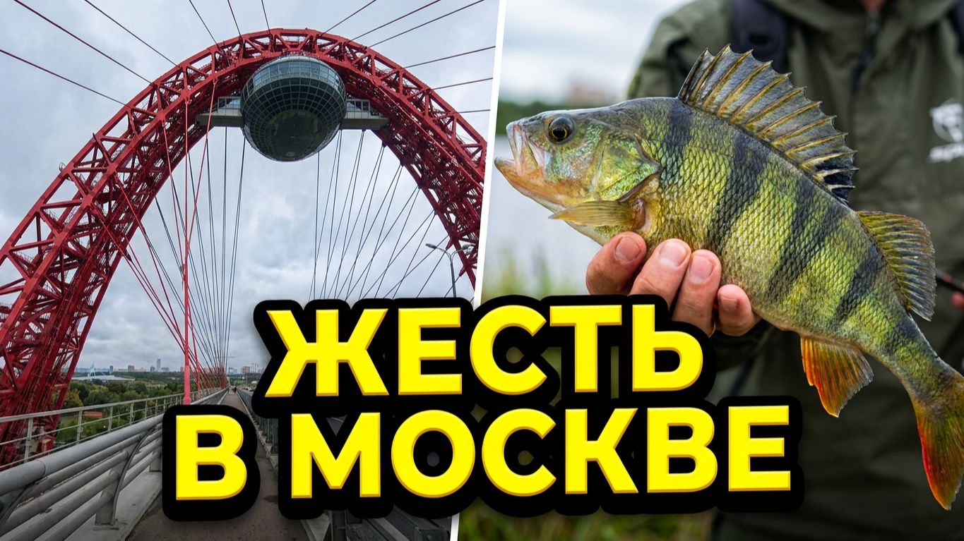БЕШЕНЫЙ КЛЁВ ОКУНЯ или как половить в условиях города ?