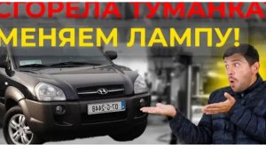 Простой способ замены лампы противотуманной фары на Hyundai Tucson