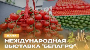 Ноу-хау с БЕЛАГРО! Пекинская капуста: полный гид по выращиванию. Как получить сладкую клубнику? Дача