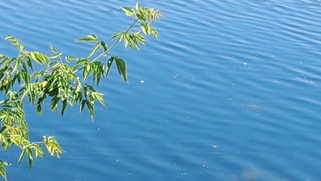 Купальный сезон в разгаре#С праздником!# Жара +35#