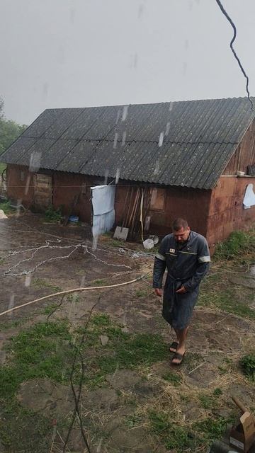 Ливень на ферме смотреть онлайн