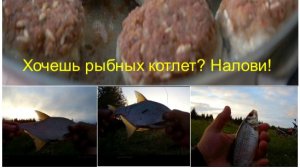 Рыбалка по тихому и всё на рыбные котлеты